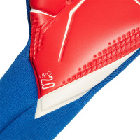 adidas PREDATOR Keepershandschoenen PRO Blauw Rood