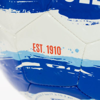 PEC Zwolle Voetbal Maat 5
