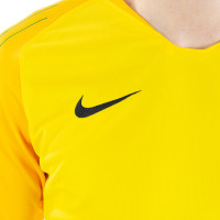 Nike Gardien II Keepersshirt Tour Yellow Green