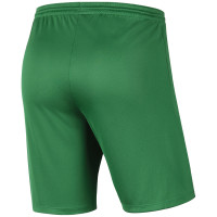 Short de gardien Alexandria 66 Senior Vert