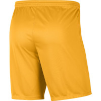 Nike Dri-FIT Park III Voetbalbroekje Geel Zwart