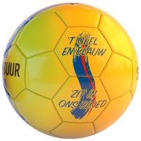 SC Cambuur Ballon Jaune et Bleu