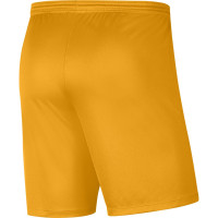 Nike Dri-FIT Park III Voetbalbroekje Kids Geel Zwart
