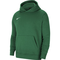 Nike Park 20 Polaire Hoodie Survêtement Enfant Vert Noir