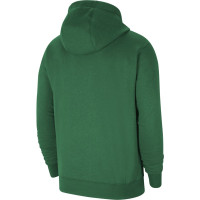Nike Park 20 Polaire Hoodie Survêtement Enfant Vert Noir