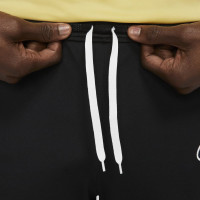 Nike Academy Trainingsbroek Zwart Goud Wit