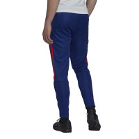 Pantalon d'entraînement Adidas Olympique Lyon 2021-2022 bleu rouge