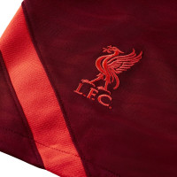 Nike Liverpool Strike Trainingsset 2021-2022 Bruin Rood