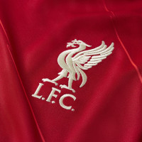 Nike Liverpool Maillot Domicile 2021-2022