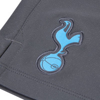 Nike Tottenham Hotspur Dry Strike Trainingsbroekje Kz 2019-2020 Donkergrijs Blauw