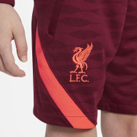 Nike Liverpool Strike Short d'Entraînement 2021-2022 Enfants Rouge Rouge Vif